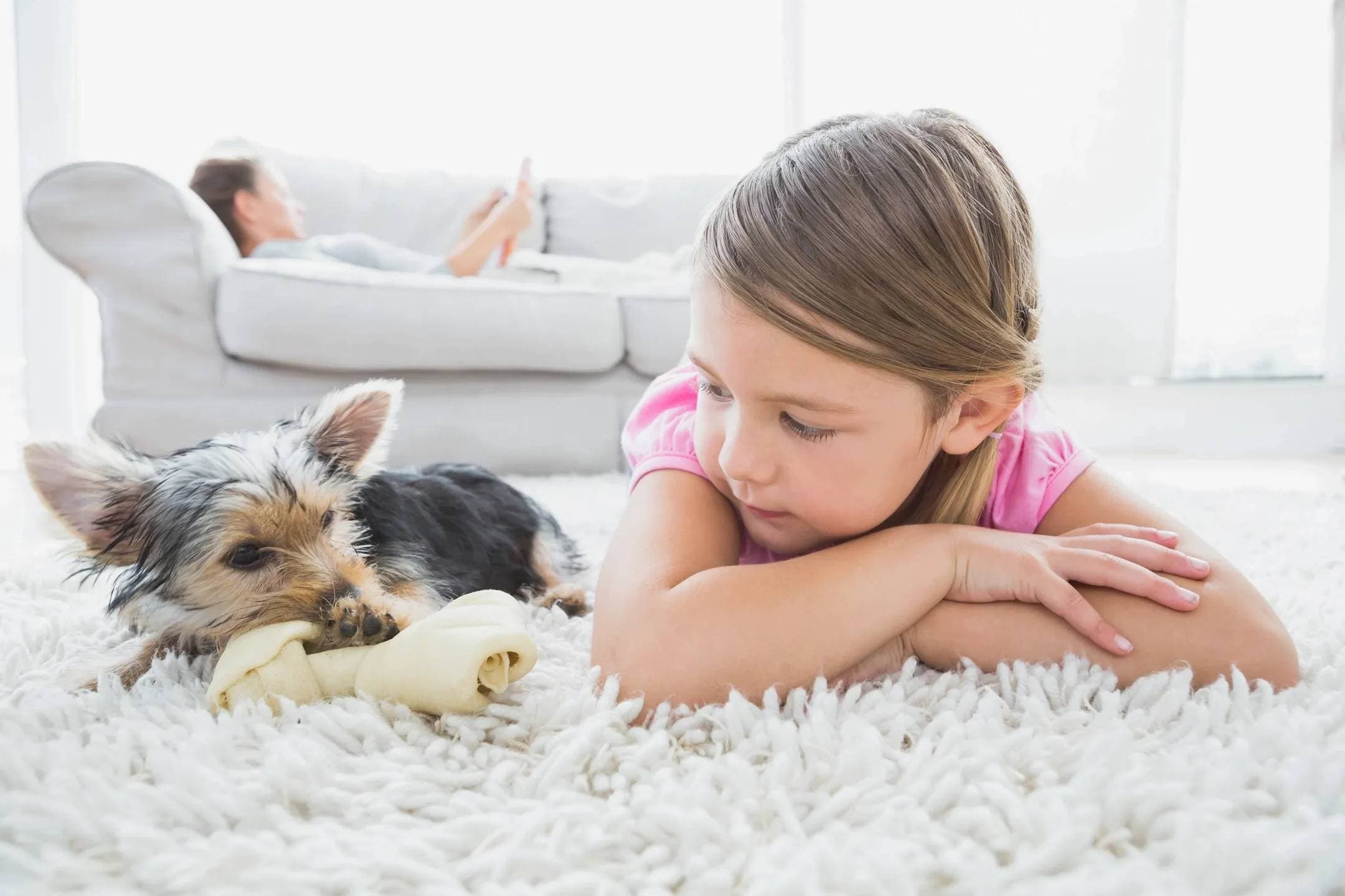 child and dog happily laying on clean carpets